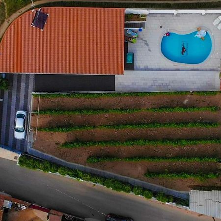 Casinha Das Bonecas - Casa Com Piscina Privada Aveiro Exteriér fotografie